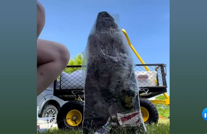 Amethyst Reveal at Holy Hill Art Farm