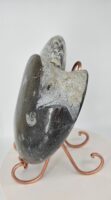 Giant Ammonite