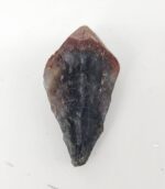 Super 7 Point M