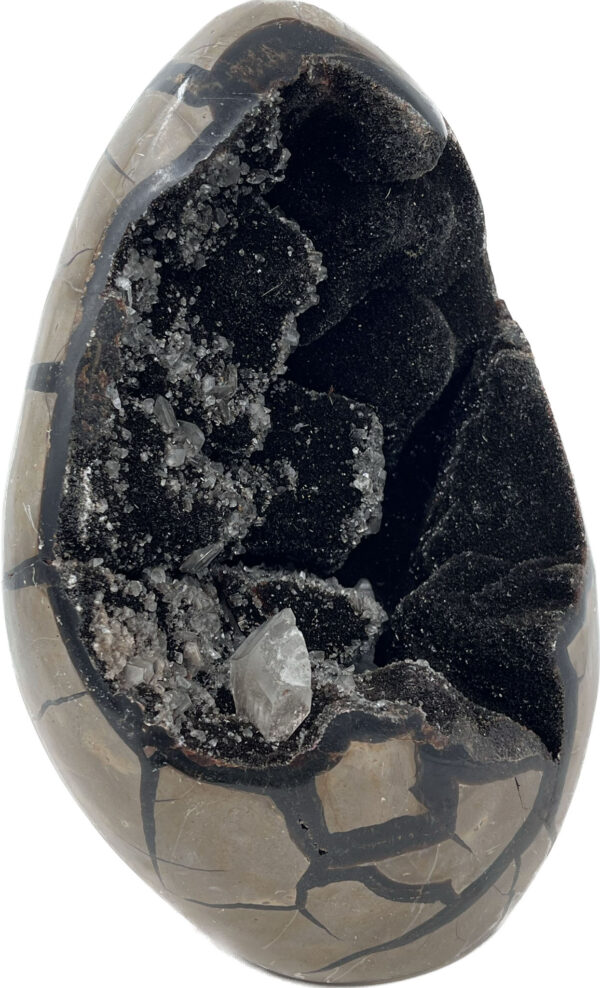 Septarian (Black)