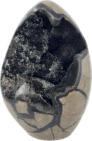 Septarian (Black)