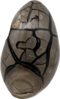 Septarian (Black)