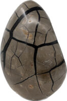 Septarian (Black)