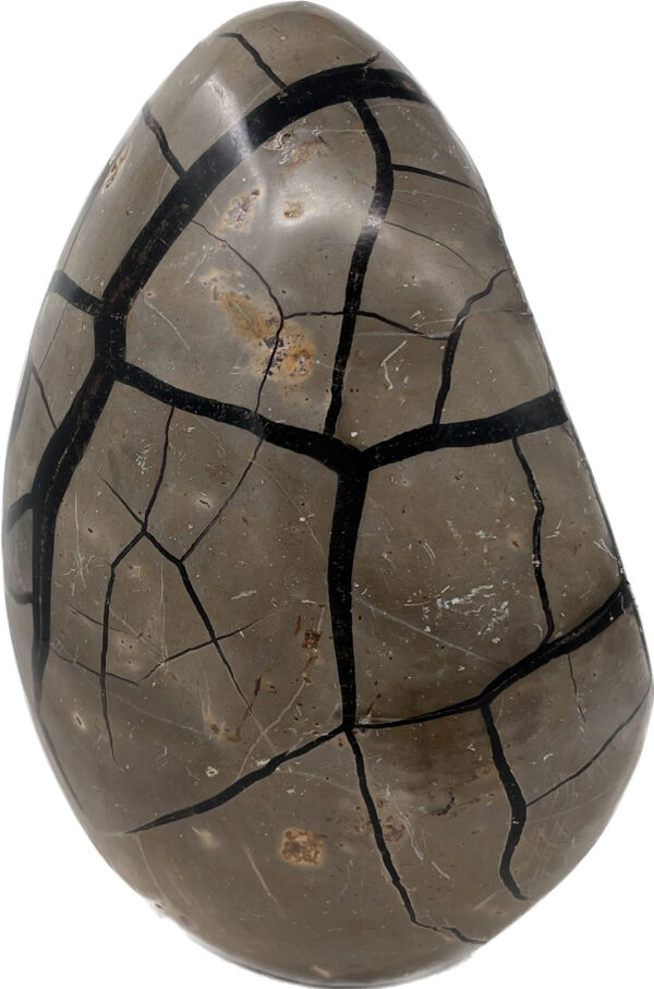 Septarian (Black)