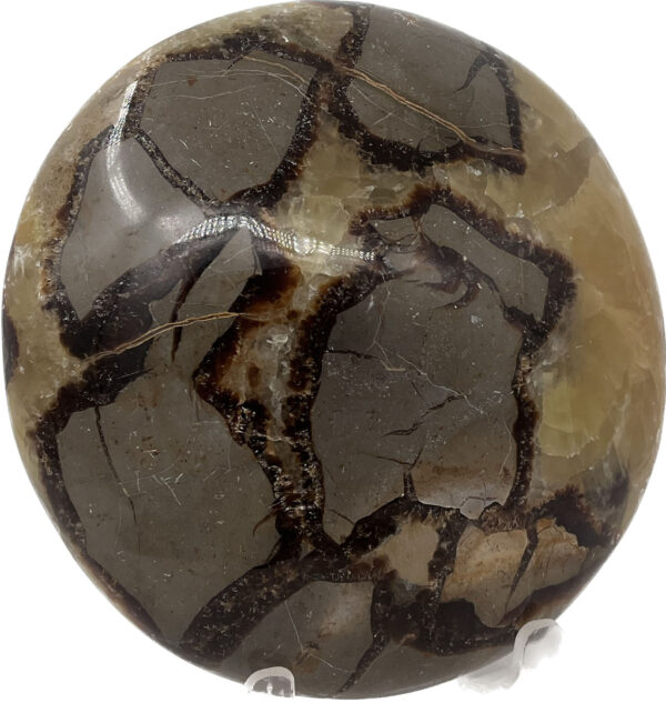 Septarian (Yellow)