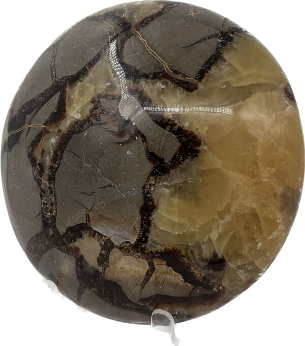 Septarian (Yellow)