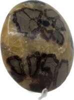 Septarian (Yellow)